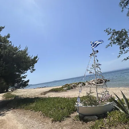 Homes 100m From Никити
