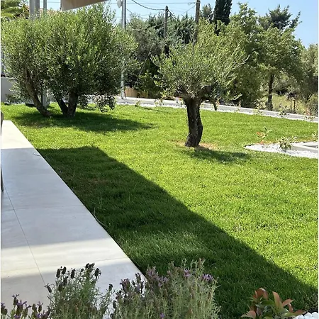 Homes 100m From Nikíti