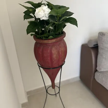 Homes 100m From Διαμέρισμα Νικήτη