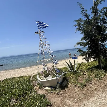 Διαμέρισμα Homes 100m From *