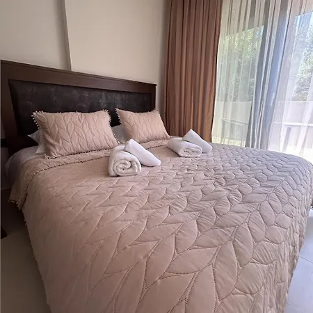 Homes 100m From * ניקיטי