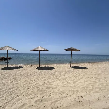 Διαμέρισμα Homes 100m From *